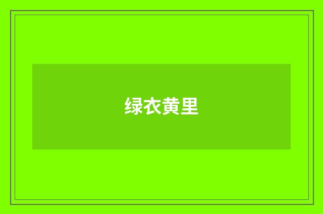 绿衣黄里