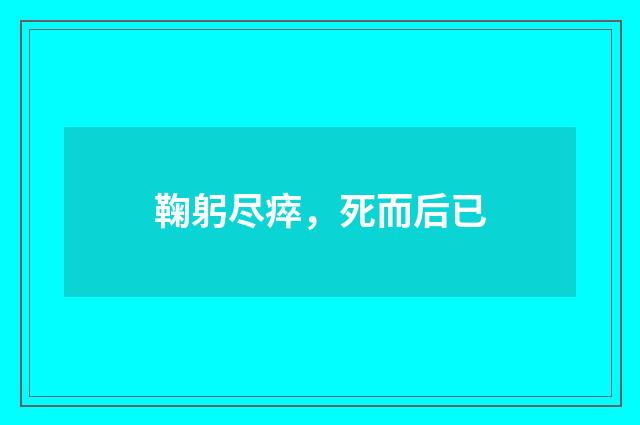 鞠躬尽瘁，死而后已