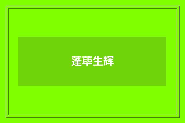 蓬荜生辉
