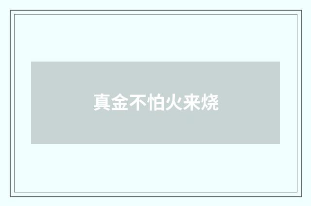 真金不怕火来烧
