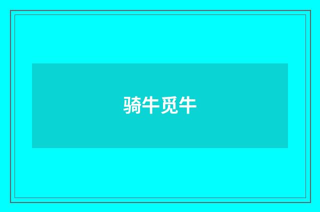 骑牛觅牛