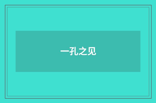 一孔之见