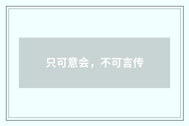 只可意会，不可言传