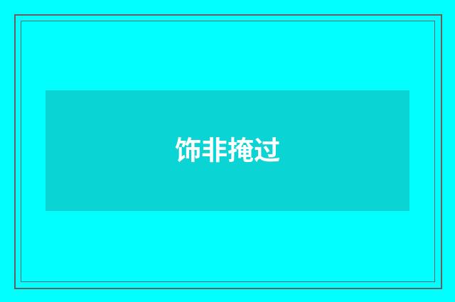饰非掩过