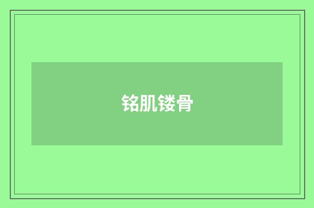 铭肌镂骨