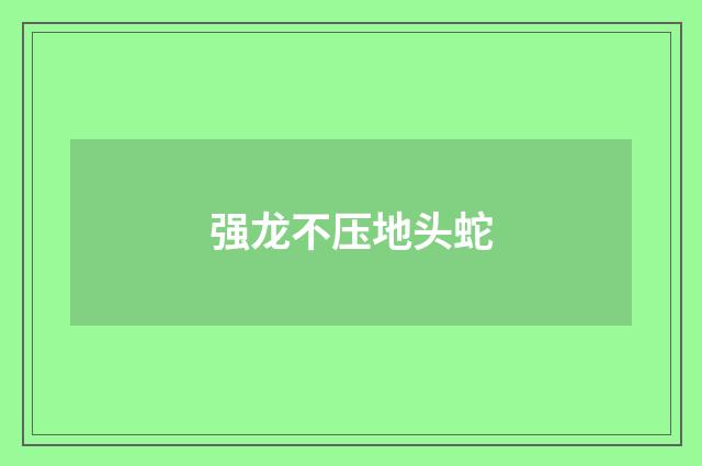 强龙不压地头蛇
