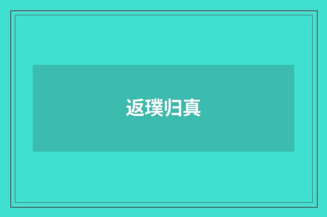 返璞归真