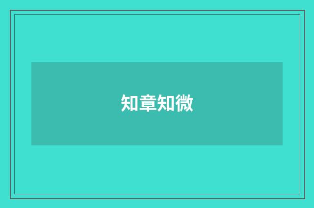 知章知微