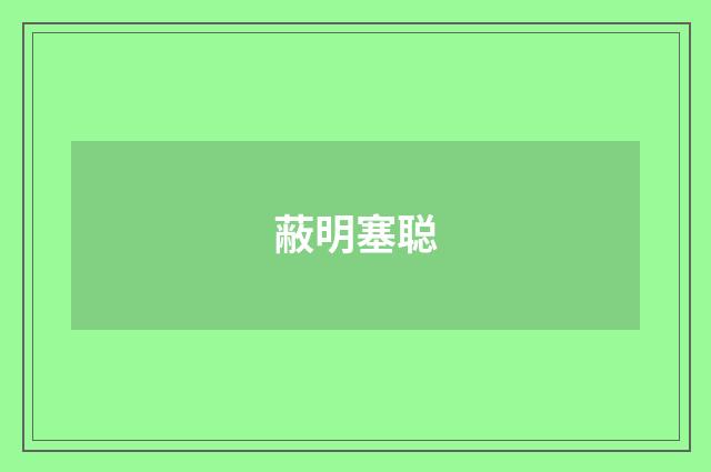 蔽明塞聪