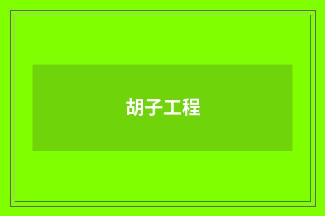 胡子工程