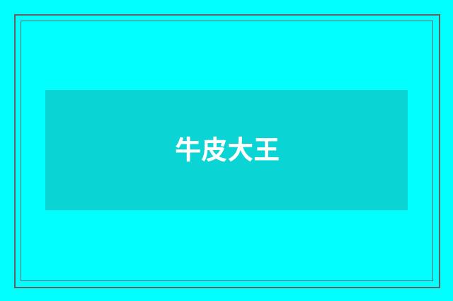 牛皮大王