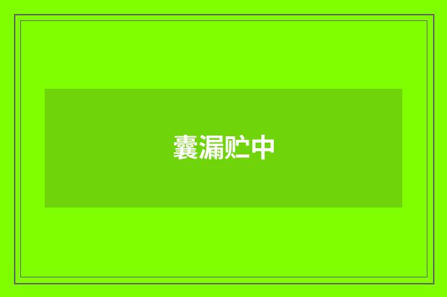 囊漏贮中