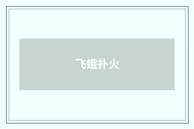 飞蛾扑火