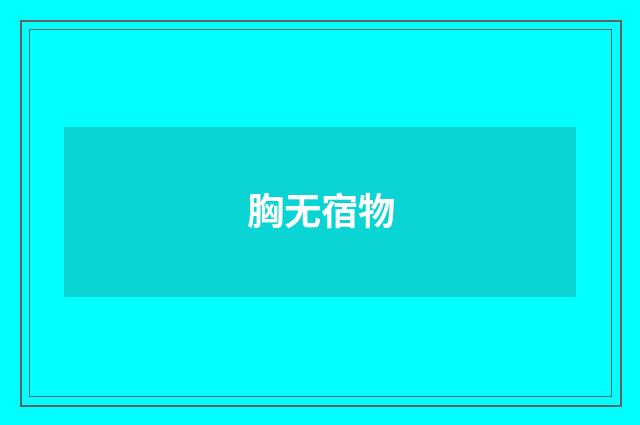 胸无宿物