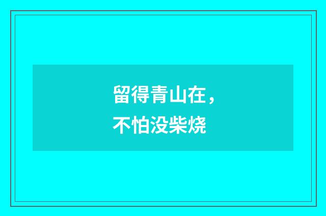 留得青山在，不怕没柴烧