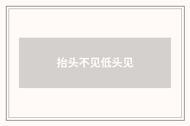 抬头不见低头见