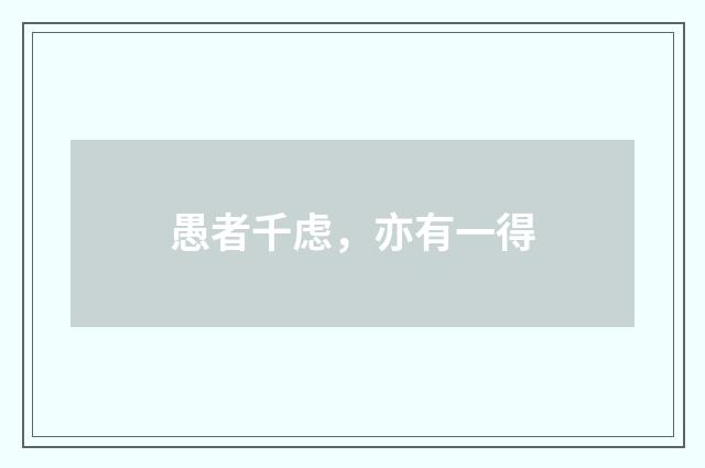 愚者千虑，亦有一得