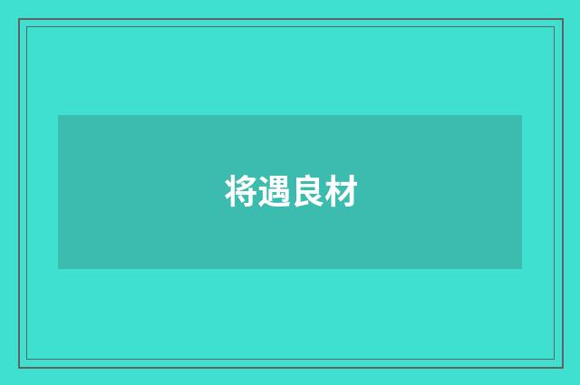 将遇良材