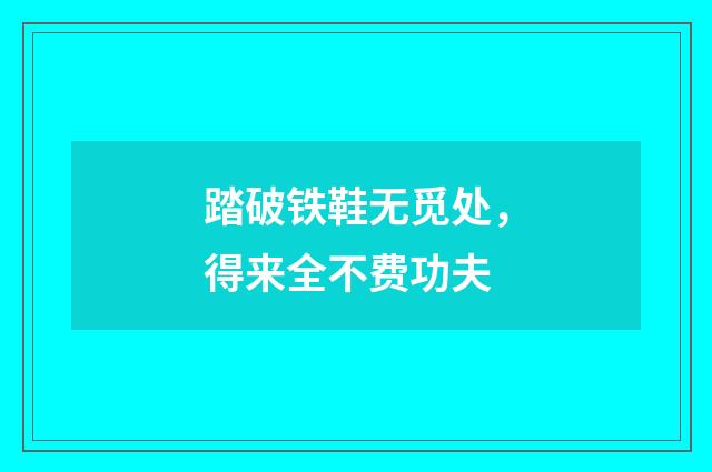 踏破铁鞋无觅处，得来全不费功夫