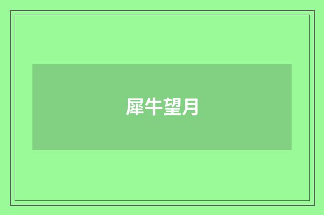 犀牛望月