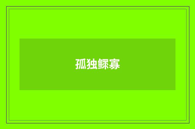 孤独鳏寡