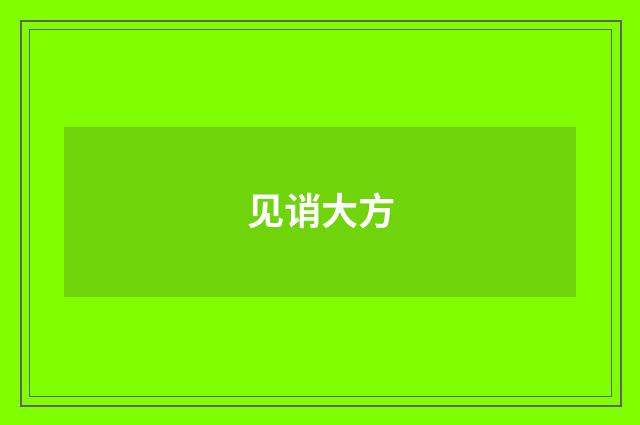 见诮大方