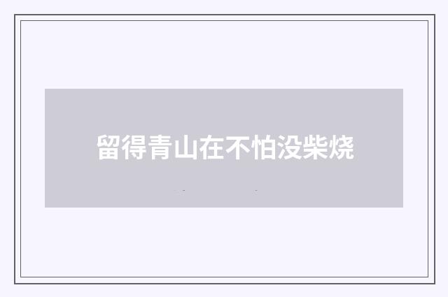 留得青山在不怕没柴烧