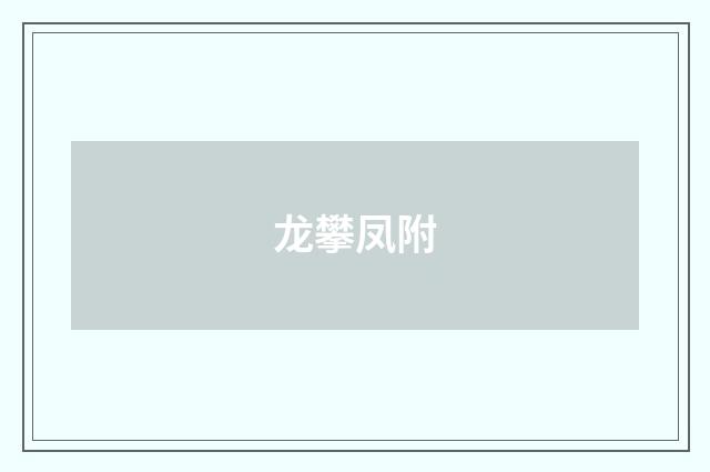 龙攀凤附