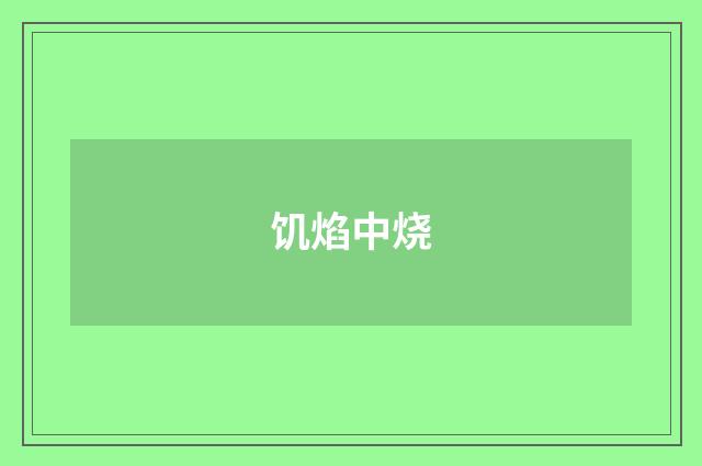 饥焰中烧