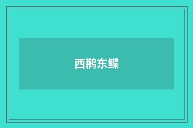 西鹣东鲽