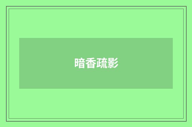 暗香疏影