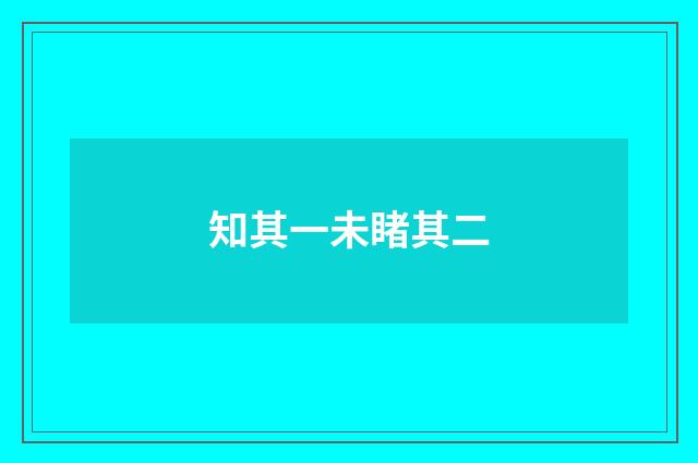 知其一未睹其二