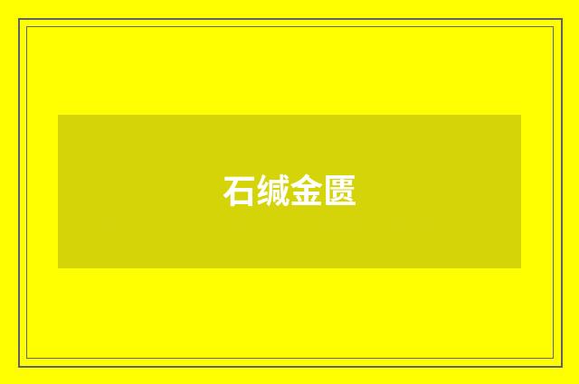 石缄金匮