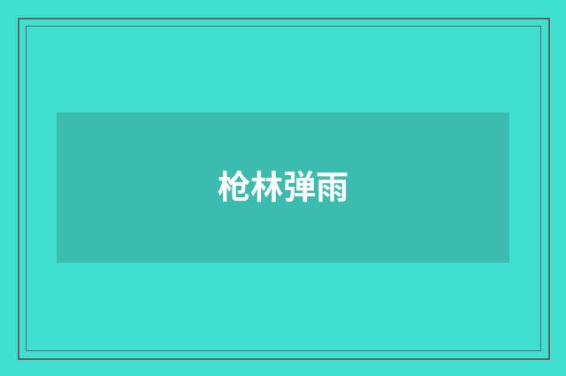 枪林弹雨