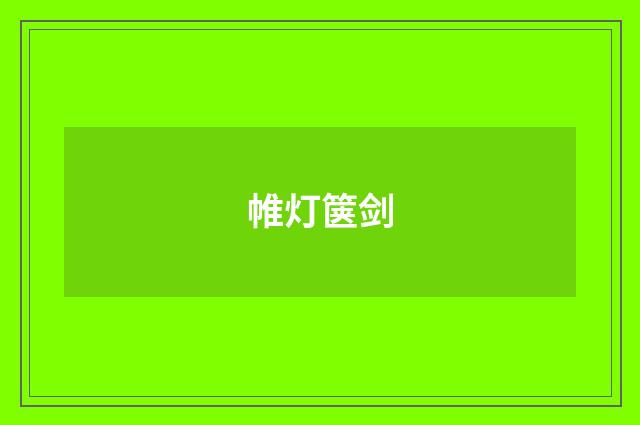 帷灯箧剑