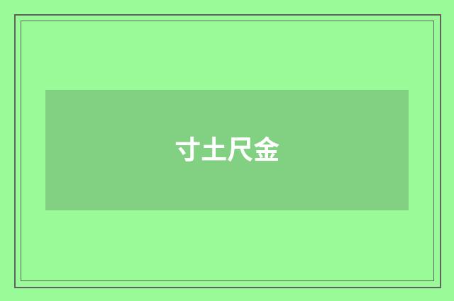 寸土尺金