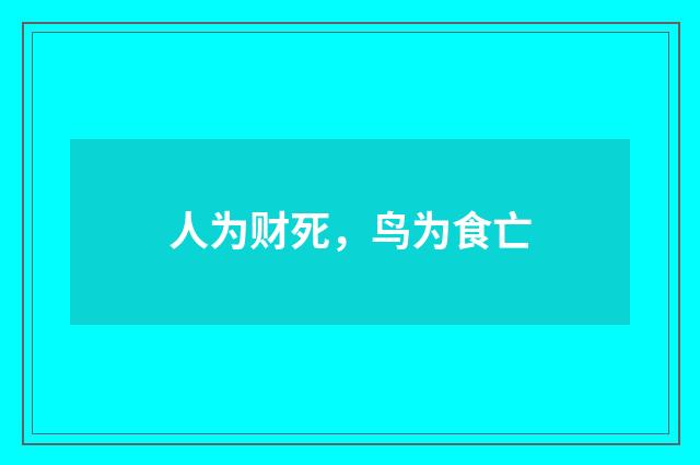 人为财死，鸟为食亡