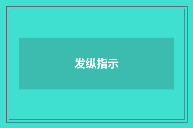 发纵指示