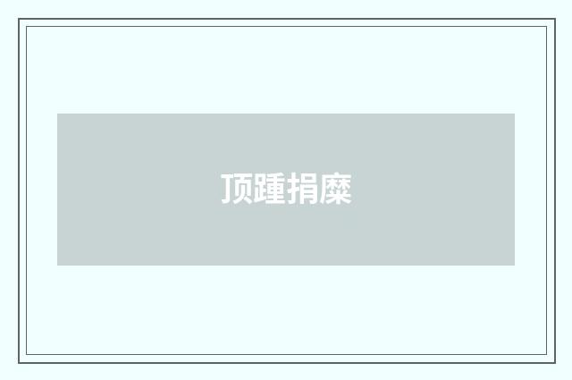 顶踵捐糜