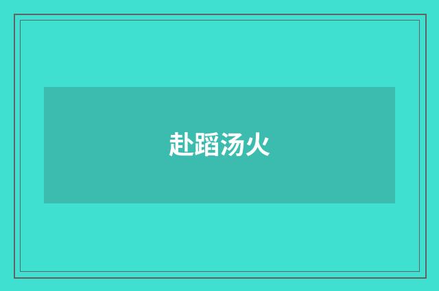 赴蹈汤火