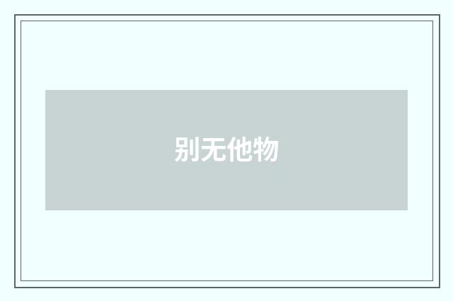 别无他物