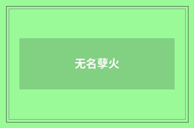 无名孽火