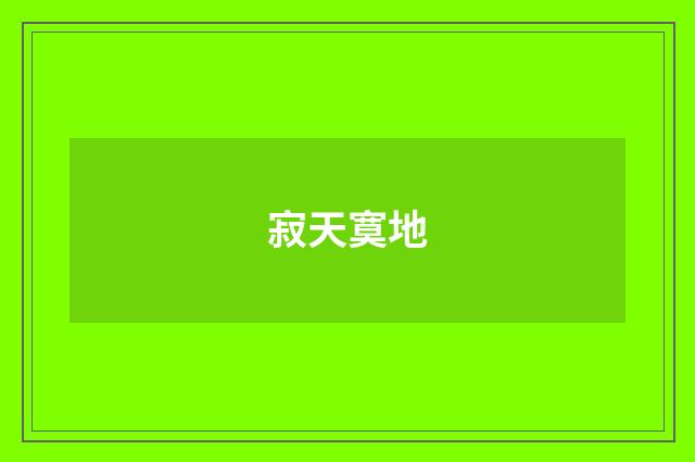 寂天寞地