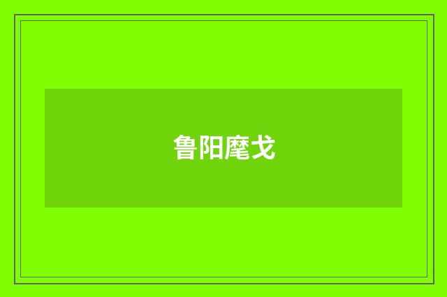 鲁阳麾戈