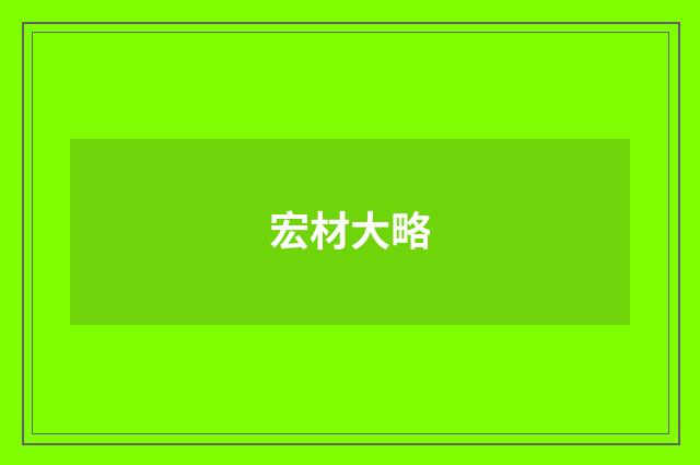 宏材大略