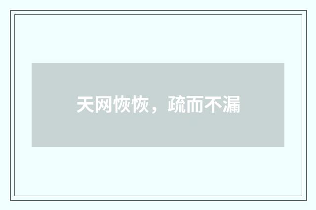 天网恢恢，疏而不漏