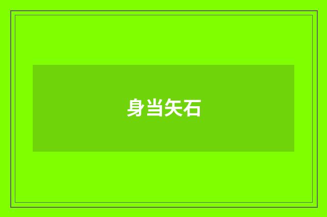身当矢石