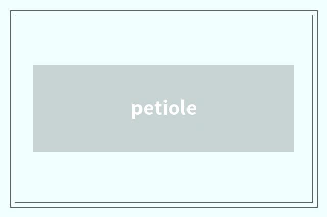 petiole