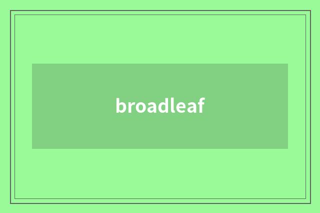 broadleaf