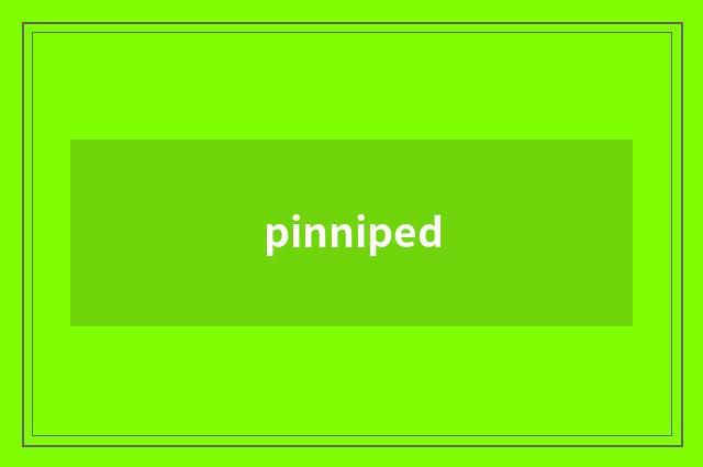 pinniped